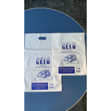 empresa de embalagem para gelo 10kg Rio Grande